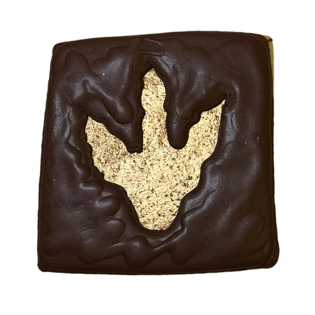 Jurassic Cookies, Choose Your Own - Image 8